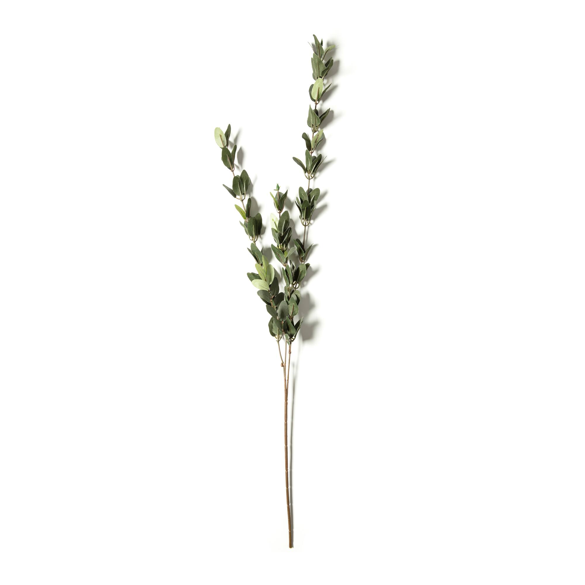 Huckleberry Leaf Spray by Ashland®